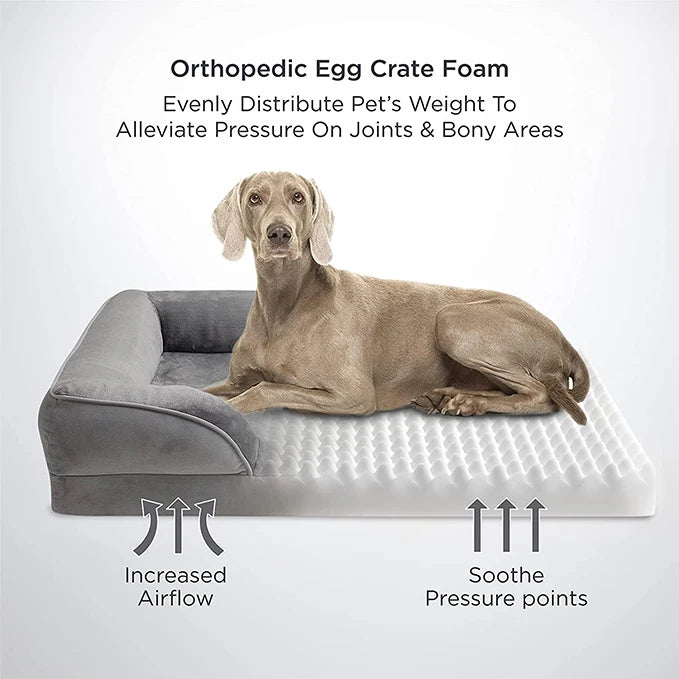 Orthopedic Dog Bed